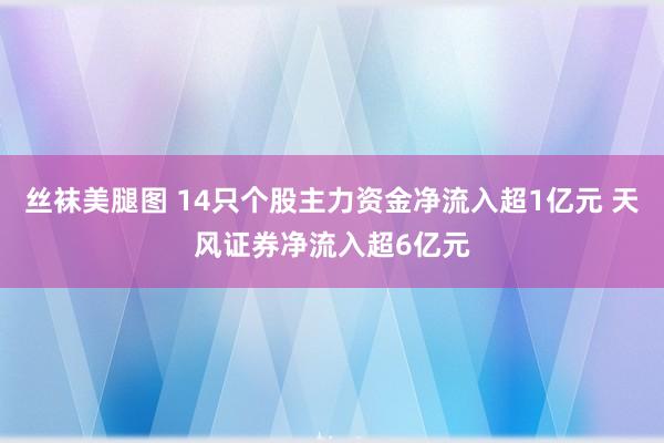 丝袜美腿图 14只个股主力资金净流入超1亿元 天风证券净流入超6亿元