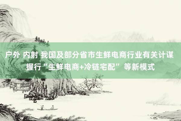 户外 内射 我国及部分省市生鲜电商行业有关计谋 握行“生鲜电商+冷链宅配” 等新模式