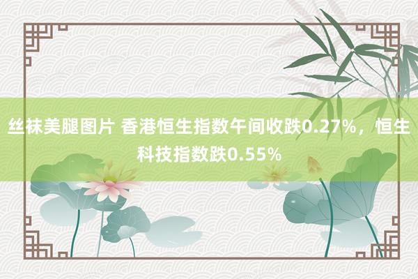 丝袜美腿图片 香港恒生指数午间收跌0.27%，恒生科技指数跌0.55%