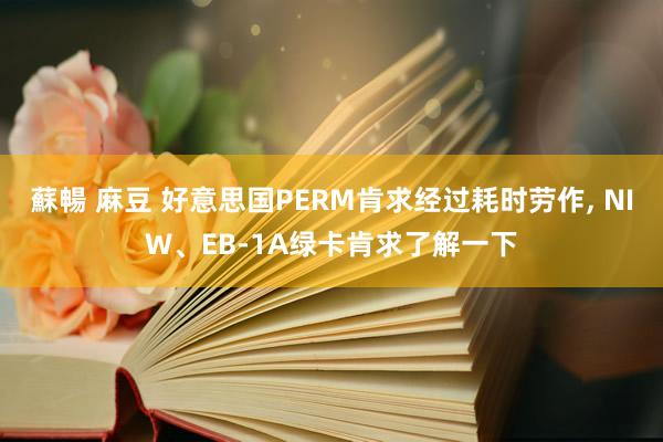 蘇暢 麻豆 好意思国PERM肯求经过耗时劳作, NIW、EB-1A绿卡肯求了解一下