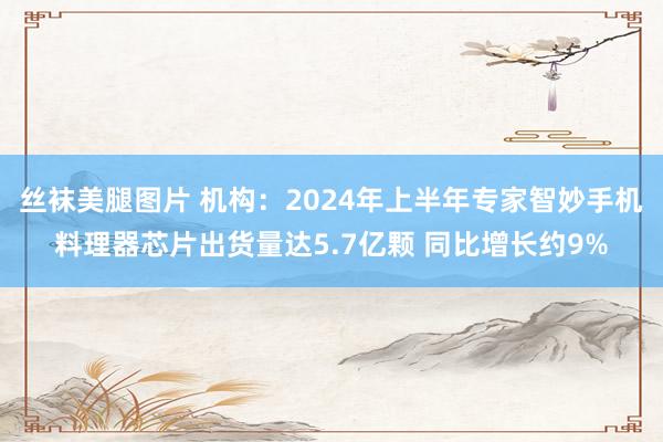 丝袜美腿图片 机构：2024年上半年专家智妙手机料理器芯片出货量达5.7亿颗 同比增长约9%