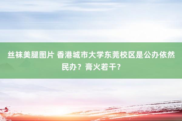 丝袜美腿图片 香港城市大学东莞校区是公办依然民办？膏火若干？