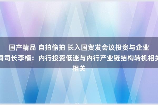 国产精品 自拍偷拍 长入国贸发会议投资与企业司司长李楠：内行投资低迷与内行产业链结构转机相关