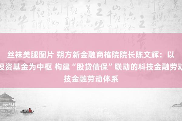 丝袜美腿图片 朔方新金融商榷院院长陈文辉：以股权投资基金为中枢 构建“股贷债保”联动的科技金融劳动体系