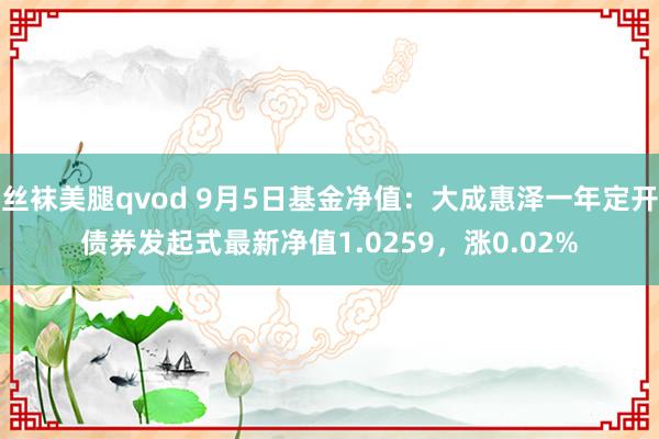 丝袜美腿qvod 9月5日基金净值：大成惠泽一年定开债券发起式最新净值1.0259，涨0.02%