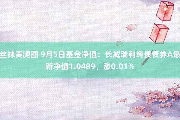 丝袜美腿图 9月5日基金净值：长城瑞利纯债债券A最新净值1.0489，涨0.01%