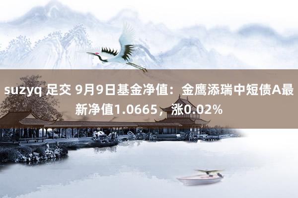 suzyq 足交 9月9日基金净值：金鹰添瑞中短债A最新净值1.0665，涨0.02%