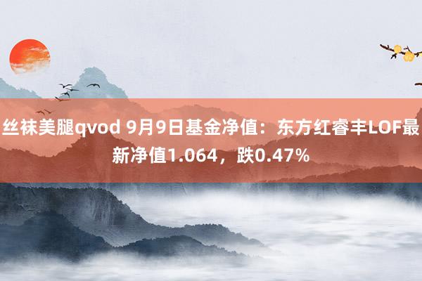 丝袜美腿qvod 9月9日基金净值：东方红睿丰LOF最新净值1.064，跌0.47%