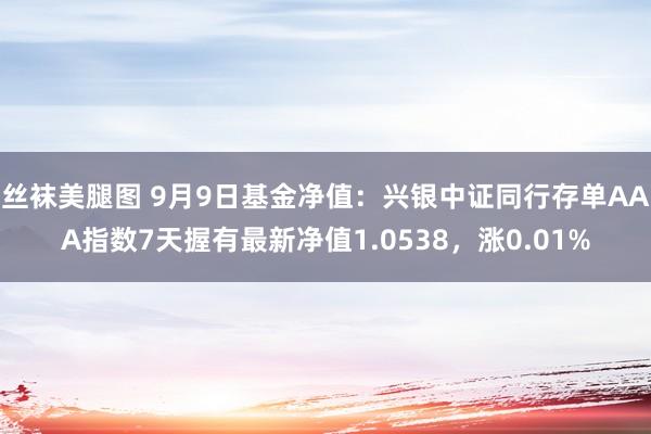 丝袜美腿图 9月9日基金净值：兴银中证同行存单AAA指数7天握有最新净值1.0538，涨0.01%