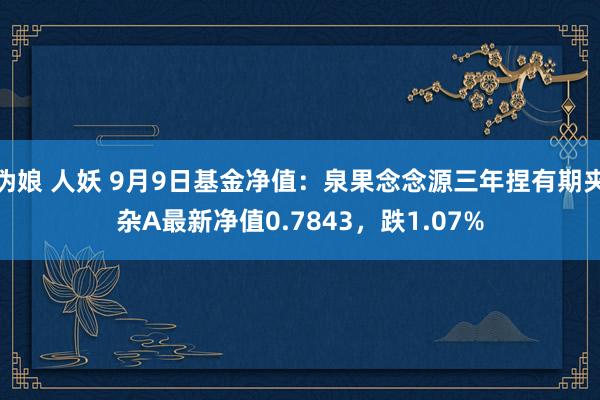 伪娘 人妖 9月9日基金净值：泉果念念源三年捏有期夹杂A最新净值0.7843，跌1.07%