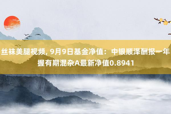 丝袜美腿视频, 9月9日基金净值：中银顺泽酬报一年握有期混杂A最新净值0.8941