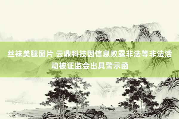 丝袜美腿图片 云鼎科技因信息败露非法等非法活动被证监会出具警示函