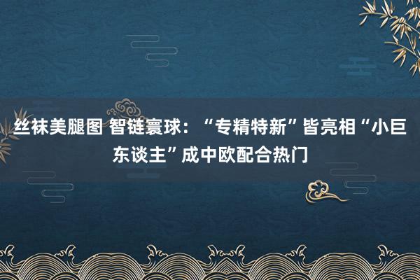 丝袜美腿图 智链寰球：“专精特新”皆亮相“小巨东谈主”成中欧配合热门