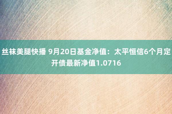 丝袜美腿快播 9月20日基金净值：太平恒信6个月定开债最新净值1.0716