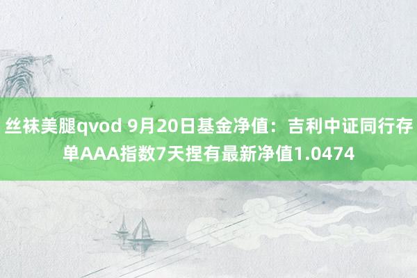 丝袜美腿qvod 9月20日基金净值：吉利中证同行存单AAA指数7天捏有最新净值1.0474