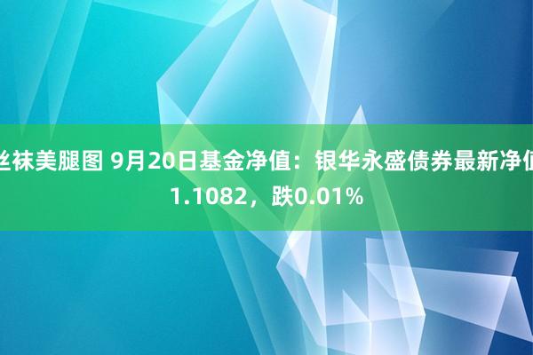 丝袜美腿图 9月20日基金净值：银华永盛债券最新净值1.1082，跌0.01%