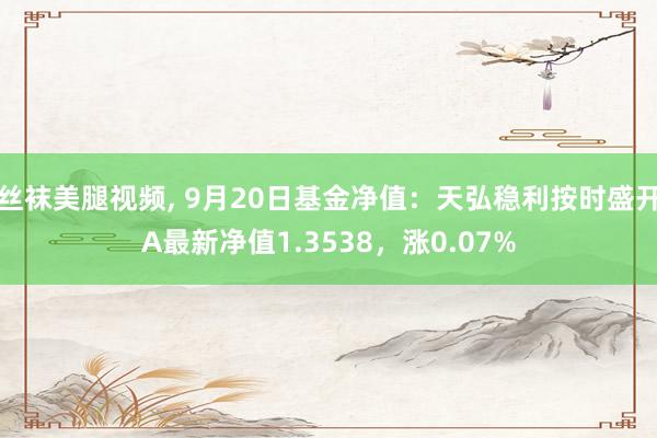 丝袜美腿视频, 9月20日基金净值：天弘稳利按时盛开A最新净值1.3538，涨0.07%