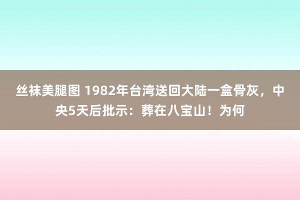 丝袜美腿图 1982年台湾送回大陆一盒骨灰，中央5天后批示：葬在八宝山！为何