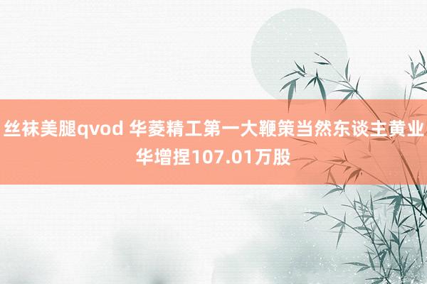 丝袜美腿qvod 华菱精工第一大鞭策当然东谈主黄业华增捏107.01万股