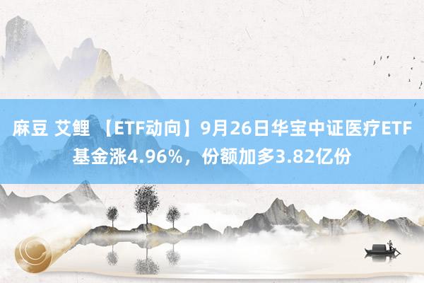 麻豆 艾鲤 【ETF动向】9月26日华宝中证医疗ETF基金涨4.96%，份额加多3.82亿份