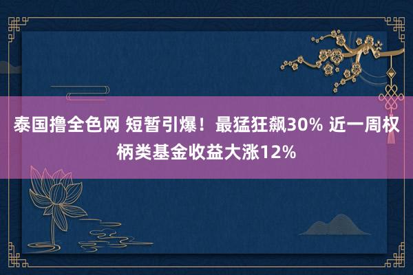 泰国撸全色网 短暂引爆！最猛狂飙30% 近一周权柄类基金收益大涨12%