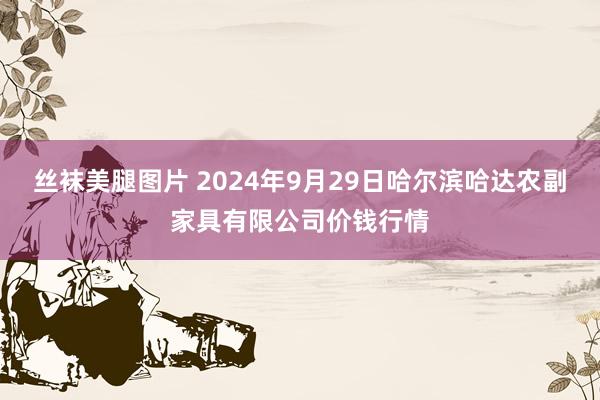 丝袜美腿图片 2024年9月29日哈尔滨哈达农副家具有限公司价钱行情