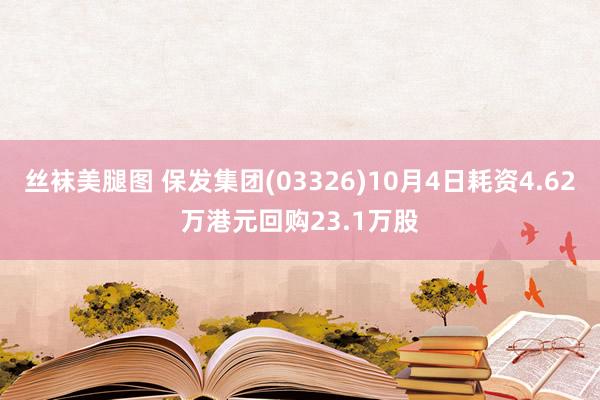 丝袜美腿图 保发集团(03326)10月4日耗资4.62万港元回购23.1万股