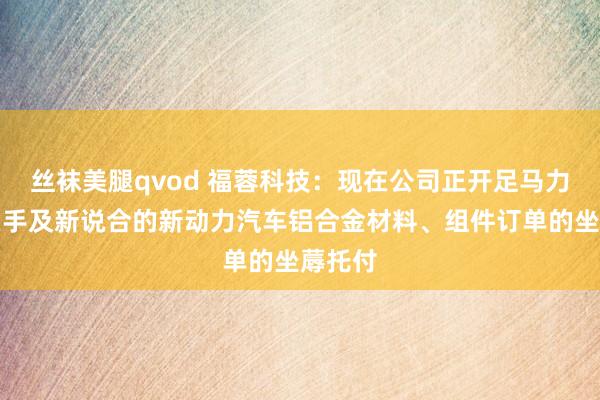 丝袜美腿qvod 福蓉科技：现在公司正开足马力完成在手及新说合的新动力汽车铝合金材料、组件订单的坐蓐托付