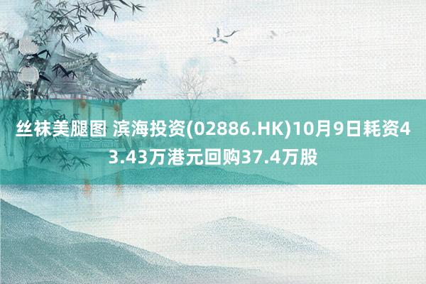 丝袜美腿图 滨海投资(02886.HK)10月9日耗资43.43万港元回购37.4万股