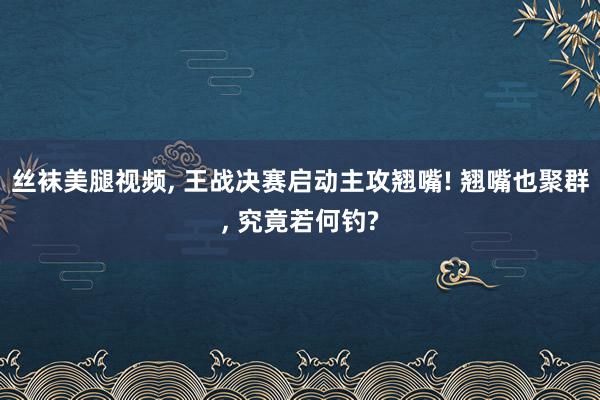 丝袜美腿视频， 王战决赛启动主攻翘嘴! 翘嘴也聚群， 究竟若何钓?