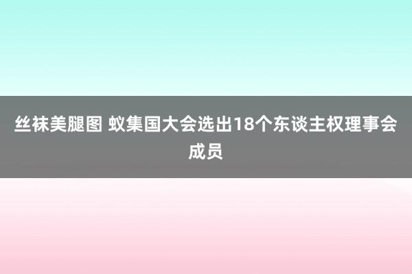 丝袜美腿图 蚁集国大会选出18个东谈主权理事会成员