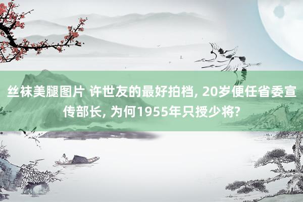 丝袜美腿图片 许世友的最好拍档， 20岁便任省委宣传部长， 为何1955年只授少将?