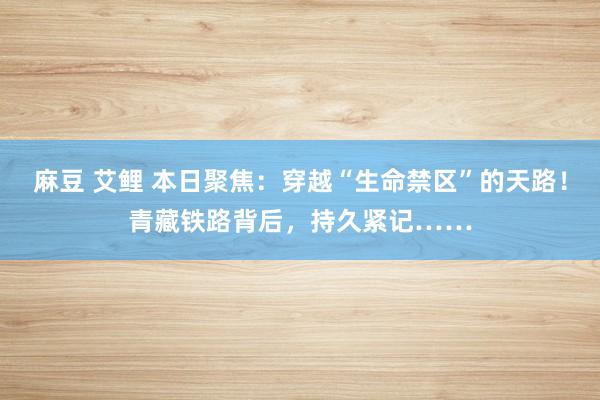 麻豆 艾鲤 本日聚焦：穿越“生命禁区”的天路！青藏铁路背后，持久紧记……