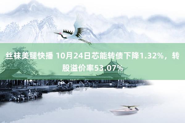 丝袜美腿快播 10月24日芯能转债下降1.32%，转股溢价率53.07%