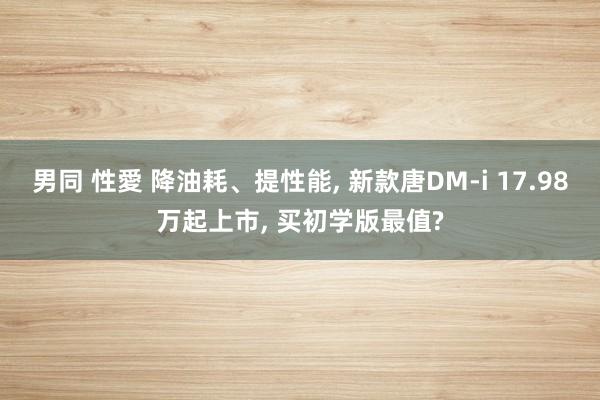 男同 性愛 降油耗、提性能， 新款唐DM-i 17.98万起上市， 买初学版最值?