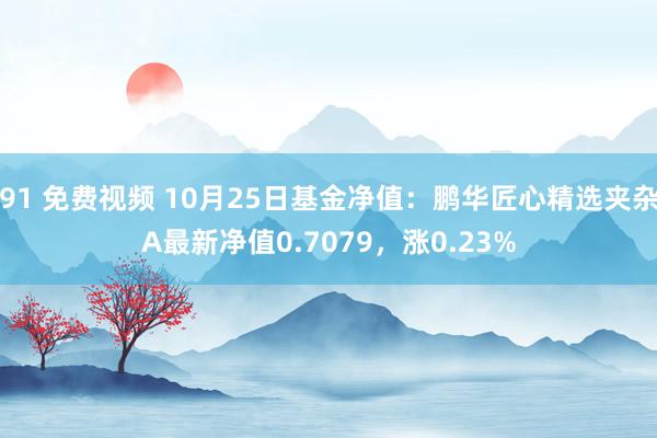 91 免费视频 10月25日基金净值：鹏华匠心精选夹杂A最新净值0.7079，涨0.23%