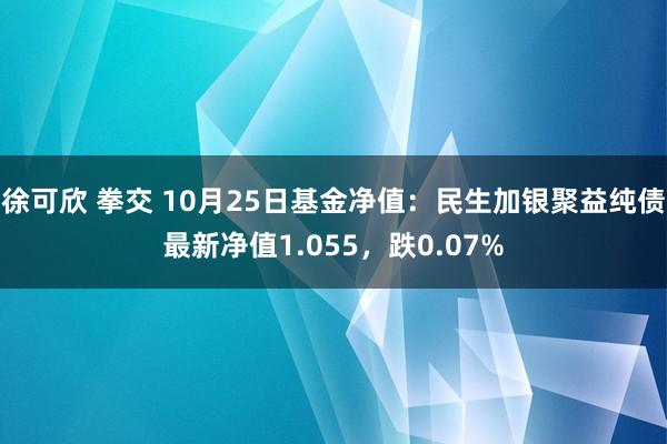 徐可欣 拳交 10月25日基金净值：民生加银聚益纯债最新净值1.055，跌0.07%