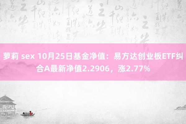 萝莉 sex 10月25日基金净值：易方达创业板ETF纠合A最新净值2.2906，涨2.77%