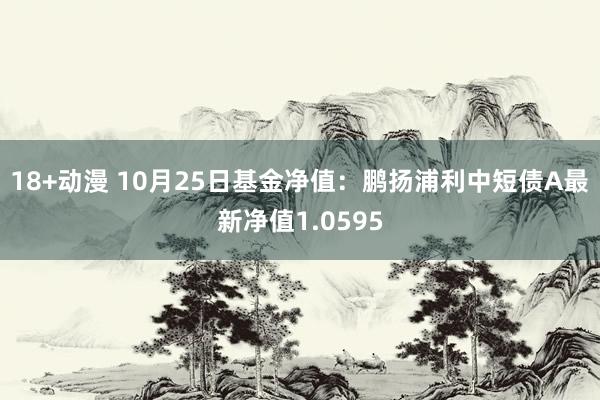 18+动漫 10月25日基金净值：鹏扬浦利中短债A最新净值1.0595