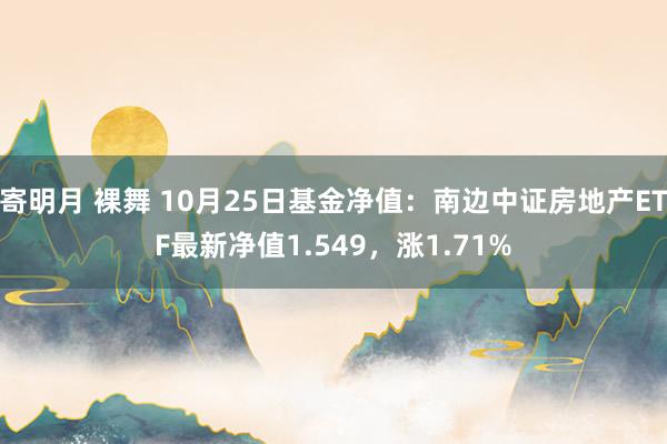 寄明月 裸舞 10月25日基金净值：南边中证房地产ETF最新净值1.549，涨1.71%