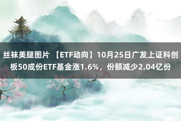 丝袜美腿图片 【ETF动向】10月25日广发上证科创板50成份ETF基金涨1.6%，份额减少2.04亿份