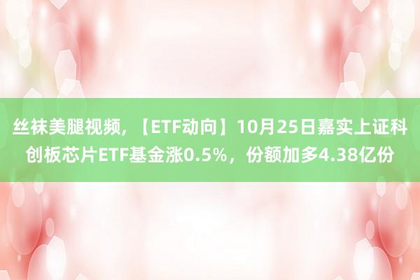 丝袜美腿视频， 【ETF动向】10月25日嘉实上证科创板芯片ETF基金涨0.5%，份额加多4.38亿份