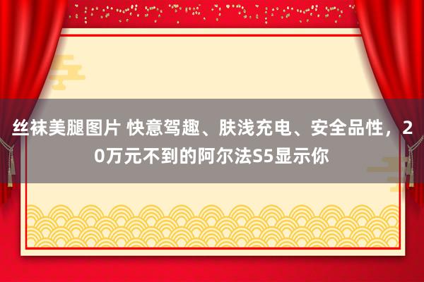 丝袜美腿图片 快意驾趣、肤浅充电、安全品性，20万元不到的阿尔法S5显示你