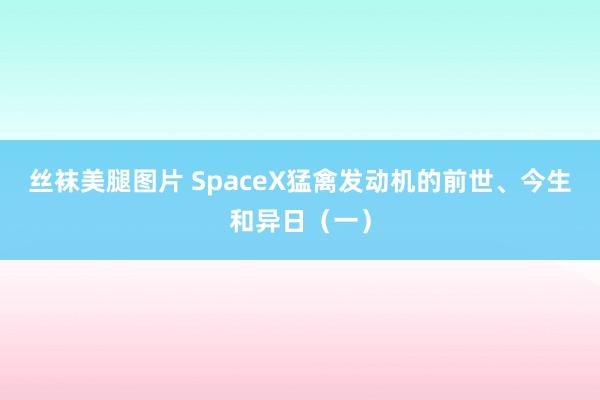 丝袜美腿图片 SpaceX猛禽发动机的前世、今生和异日（一）