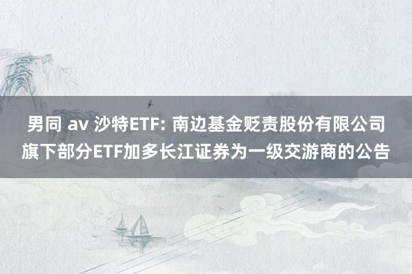 男同 av 沙特ETF: 南边基金贬责股份有限公司旗下部分ETF加多长江证券为一级交游商的公告