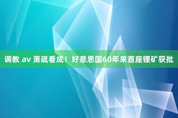 调教 av 萧疏看成！好意思国60年来首座锂矿获批