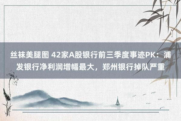 丝袜美腿图 42家A股银行前三季度事迹PK：浦发银行净利润增幅最大，郑州银行掉队严重