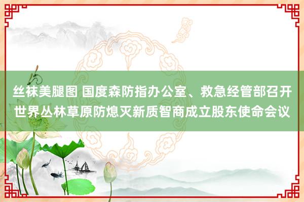 丝袜美腿图 国度森防指办公室、救急经管部召开世界丛林草原防熄灭新质智商成立股东使命会议