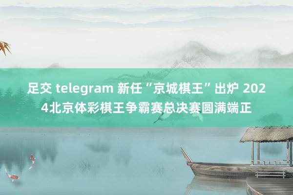 足交 telegram 新任“京城棋王”出炉 2024北京体彩棋王争霸赛总决赛圆满端正