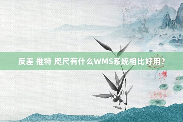 反差 推特 咫尺有什么WMS系统相比好用？